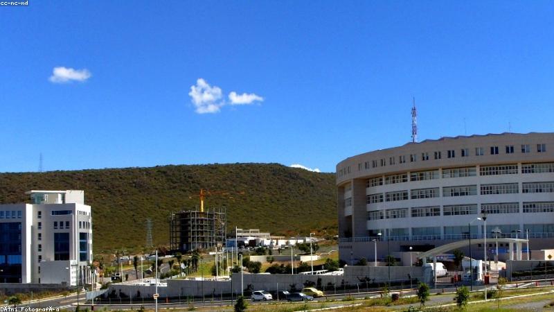 91免费版企业建站平台可视化编辑界面展示